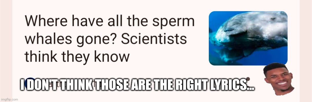 Where have all the what | I DON'T THINK THOSE ARE THE RIGHT LYRICS... | image tagged in music,science,song lyrics,silly | made w/ Imgflip meme maker