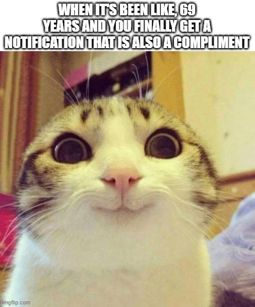 Smiling Cat | WHEN IT'S BEEN LIKE, 69 YEARS AND YOU FINALLY GET A NOTIFICATION THAT IS ALSO A COMPLIMENT | image tagged in memes,smiling cat | made w/ Imgflip meme maker