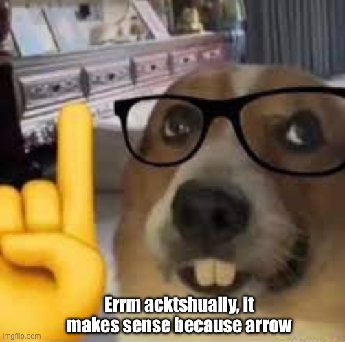 nerd dog | Errm acktshually, it makes sense because arrow | image tagged in nerd dog | made w/ Imgflip meme maker