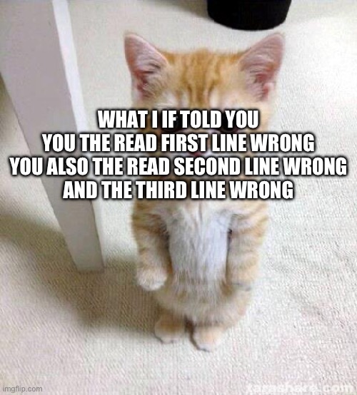 Read the whole thing | WHAT I IF TOLD YOU
YOU THE READ FIRST LINE WRONG
YOU ALSO THE READ SECOND LINE WRONG
AND THE THIRD LINE WRONG | image tagged in memes,cute cat,funny,smart,big brain,cry about it | made w/ Imgflip meme maker