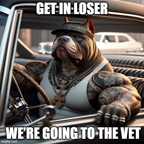 vet | GET IN LOSER; WE’RE GOING TO THE VET | image tagged in memes | made w/ Imgflip meme maker