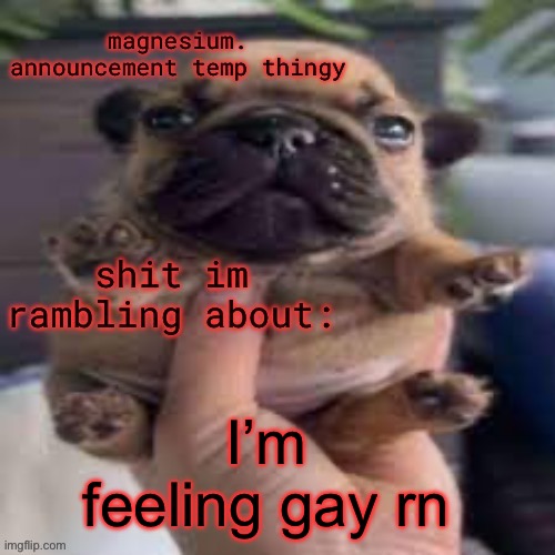 pug temp | I’m feeling gay rn | image tagged in pug temp | made w/ Imgflip meme maker