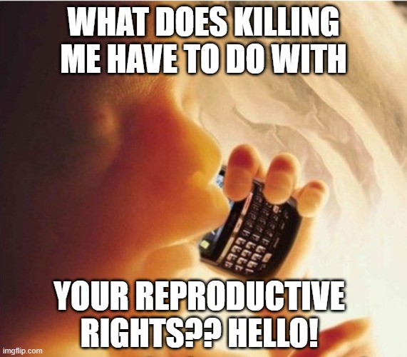 Fetus phone | WHAT DOES KILLING ME HAVE TO DO WITH; YOUR REPRODUCTIVE RIGHTS?? HELLO! | image tagged in fetus phone | made w/ Imgflip meme maker