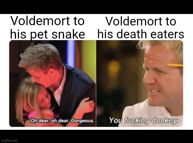 Voldemort be like | Voldemort to his pet snake; Voldemort to his death eaters | image tagged in gordon ramsay | made w/ Imgflip meme maker