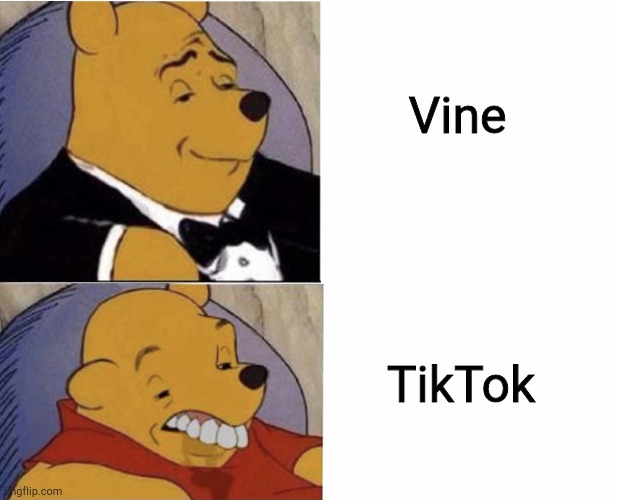 Rest in peace, vine | Vine; TikTok | image tagged in pooh bear,tuxedo winnie the pooh | made w/ Imgflip meme maker