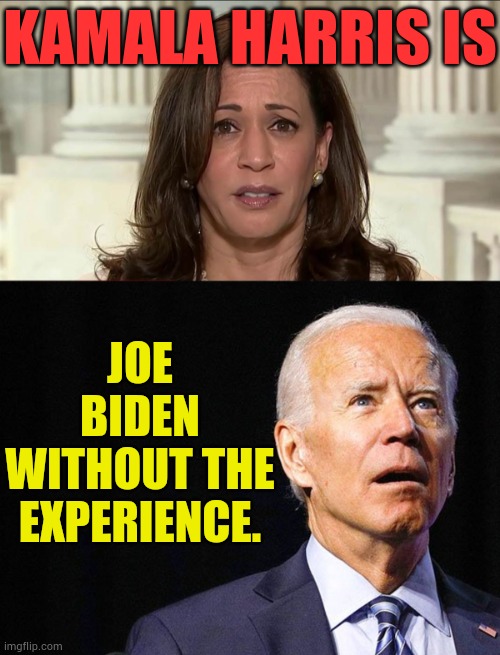 A Different View | KAMALA HARRIS IS; JOE BIDEN WITHOUT THE EXPERIENCE. | image tagged in kamala harris,joe biden confused,with,out,experience,memes | made w/ Imgflip meme maker