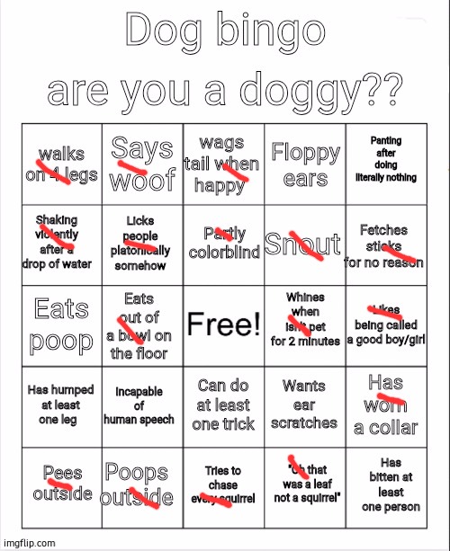 lol | image tagged in dog bingo | made w/ Imgflip meme maker