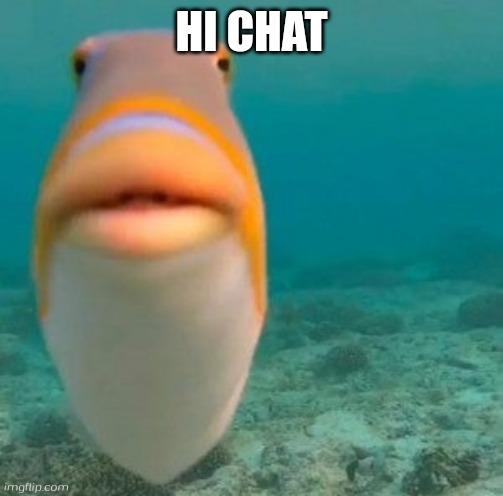 fish | HI CHAT | image tagged in fish | made w/ Imgflip meme maker