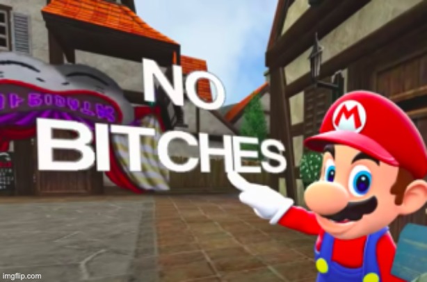 Mario No Bitches | image tagged in mario no bitches | made w/ Imgflip meme maker