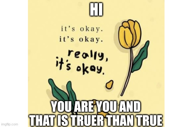 HI; YOU ARE YOU AND THAT IS TRUER THAN TRUE | made w/ Imgflip meme maker