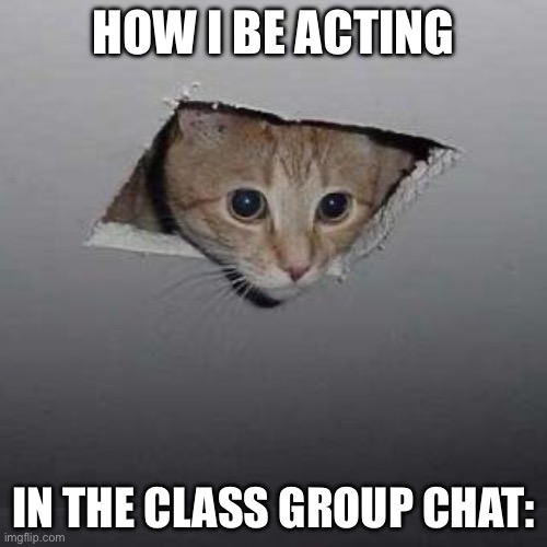 I say something = I‘m cooked red rare | HOW I BE ACTING; IN THE CLASS GROUP CHAT: | image tagged in memes,ceiling cat | made w/ Imgflip meme maker