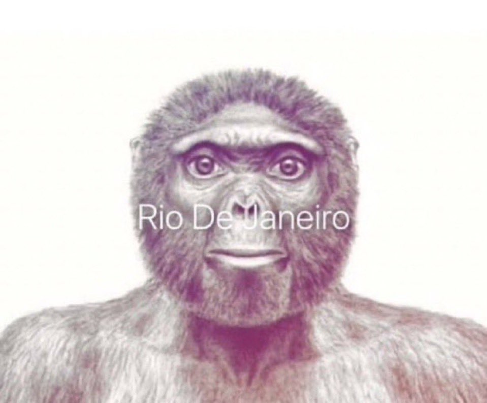 rio de janeiro Blank Meme Template
