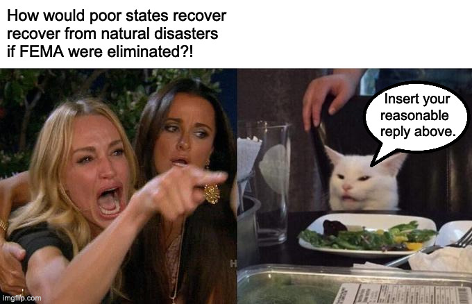 People benefit from  FEMA, Social Security, Affordable Care, etc.  Are they luxuries we can't afford? | How would poor states recover
recover from natural disasters
if FEMA were eliminated?! Insert your
reasonable
reply above. | image tagged in memes,woman yelling at cat,fema | made w/ Imgflip meme maker