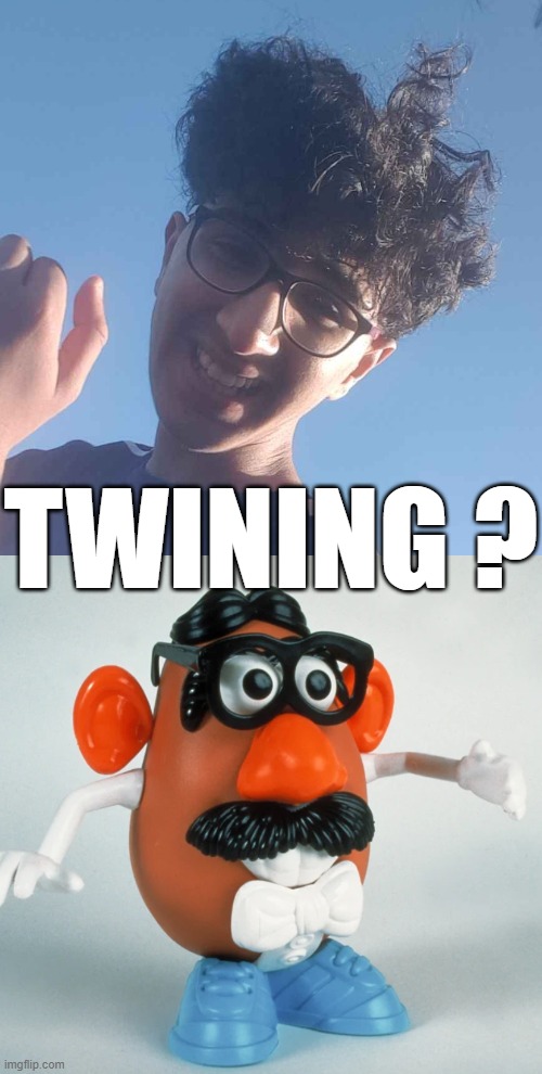 hwzat | TWINING ? | image tagged in memes | made w/ Imgflip meme maker