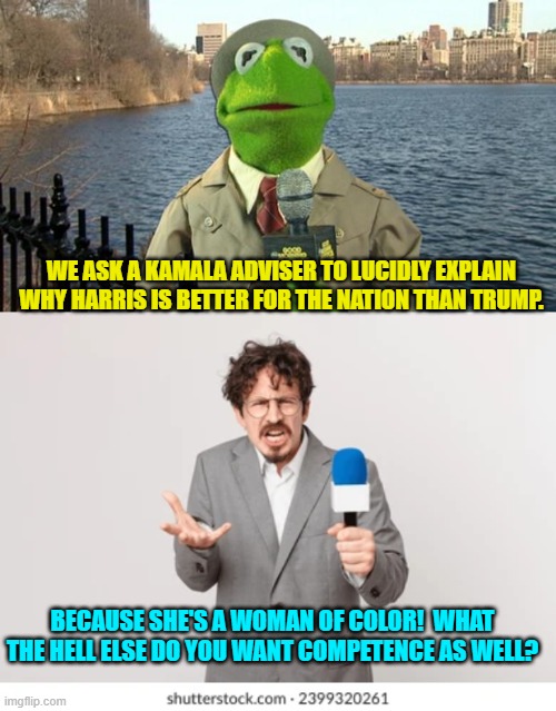 That does seem to be the sum total of the Kamala team's promotion packet. | WE ASK A KAMALA ADVISER TO LUCIDLY EXPLAIN WHY HARRIS IS BETTER FOR THE NATION THAN TRUMP. BECAUSE SHE'S A WOMAN OF COLOR!  WHAT THE HELL ELSE DO YOU WANT COMPETENCE AS WELL? | image tagged in kermit news report | made w/ Imgflip meme maker