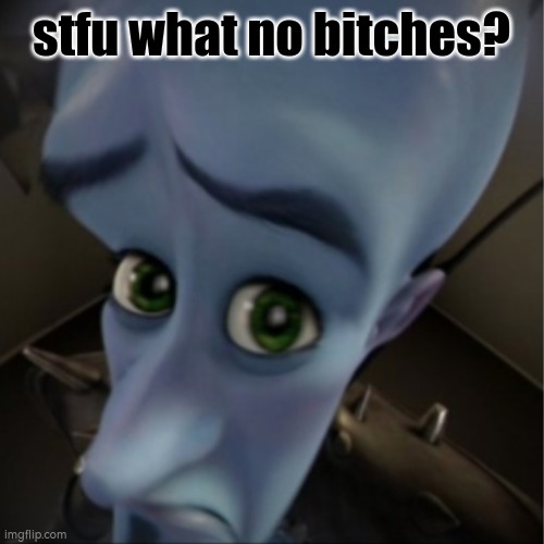 Megamind peeking | stfu what no bitches? | image tagged in megamind peeking | made w/ Imgflip meme maker