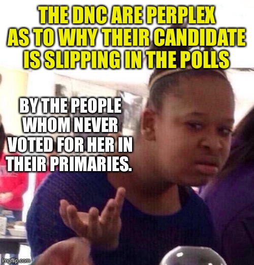 Who needs polls? | THE DNC ARE PERPLEX AS TO WHY THEIR CANDIDATE IS SLIPPING IN THE POLLS; BY THE PEOPLE WHOM NEVER VOTED FOR HER IN THEIR PRIMARIES. | image tagged in memes,black girl wat | made w/ Imgflip meme maker