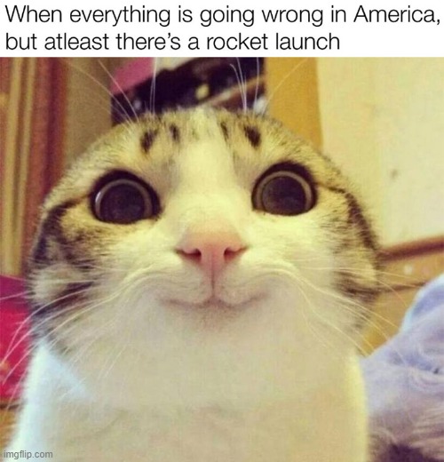 hmmmm yessss | image tagged in america,cat,everything,nasa,rocket,spacex | made w/ Imgflip meme maker