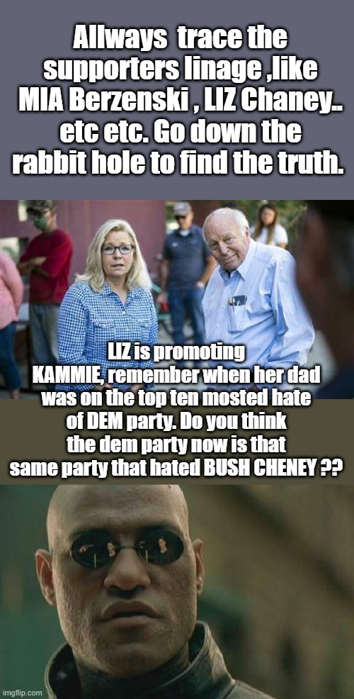 BAM BOZZELED.. CONED .. BRAIWWASHED.. smoke and mirrirs, Theylieingtoyouagain. Hostile take over of DEM party | Allways  trace the supporters linage ,like MIA Berzenski , LIZ Chaney.. etc etc. Go down the rabbit hole to find the truth. LIZ is promoting KAMMIE, remember when her dad was on the top ten mosted hate of DEM party. Do you think the dem party now is that same party that hated BUSH CHENEY ?? | image tagged in memes,matrix morpheus | made w/ Imgflip meme maker