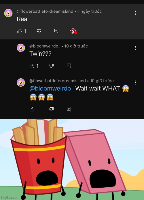 SHE HAS A TWIN! | image tagged in bfdi fries and eraser shocked | made w/ Imgflip meme maker