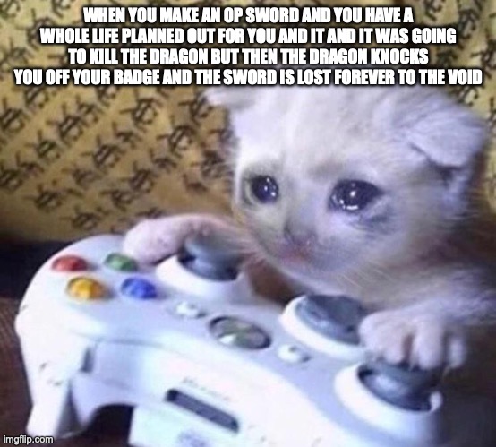 rest in peace slayer of fruit snack haters | WHEN YOU MAKE AN OP SWORD AND YOU HAVE A WHOLE LIFE PLANNED OUT FOR YOU AND IT AND IT WAS GOING TO KILL THE DRAGON BUT THEN THE DRAGON KNOCKS YOU OFF YOUR BADGE AND THE SWORD IS LOST FOREVER TO THE VOID | image tagged in sad gamer cat | made w/ Imgflip meme maker