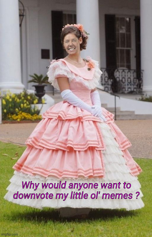 Belle Lindsey Graham | Why would anyone want to downvote my little ol' memes ? | image tagged in belle lindsey graham | made w/ Imgflip meme maker