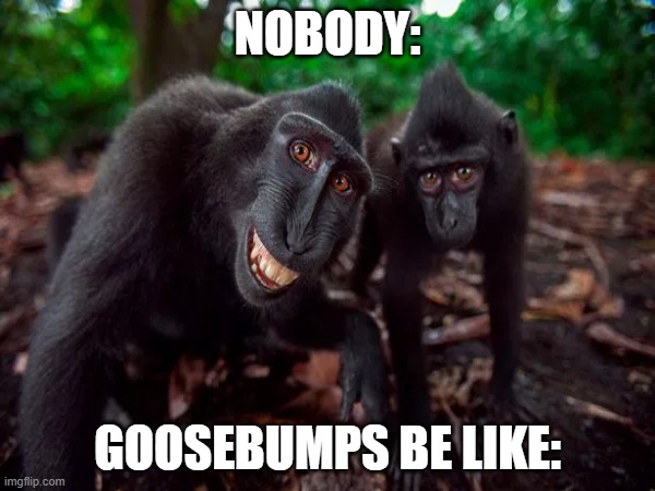 NOBODY:; GOOSEBUMPS BE LIKE: | image tagged in funny memes | made w/ Imgflip meme maker