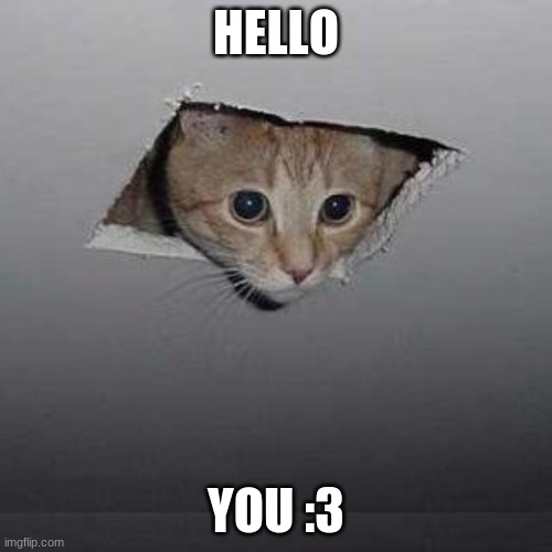 Ceiling Cat Meme | HELLO; YOU :3 | image tagged in memes,ceiling cat | made w/ Imgflip meme maker