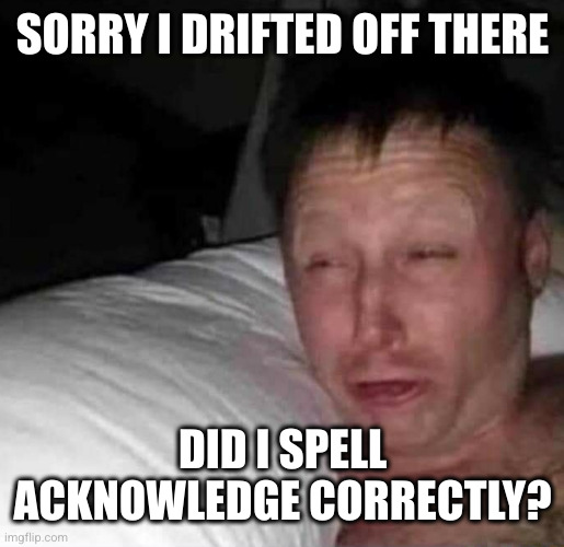 Sleepy guy | SORRY I DRIFTED OFF THERE DID I SPELL ACKNOWLEDGE CORRECTLY? | image tagged in sleepy guy | made w/ Imgflip meme maker