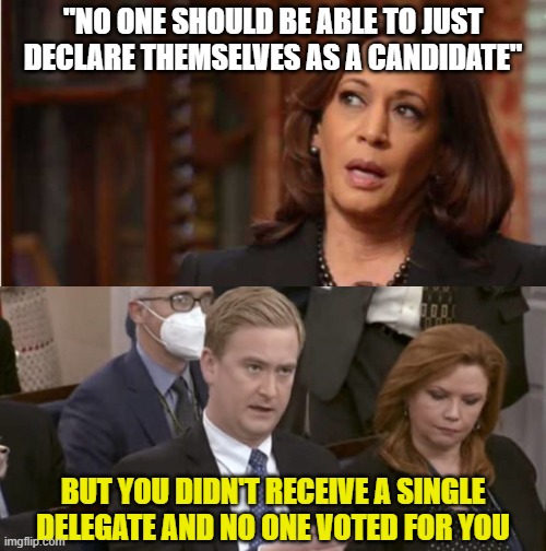 "NO ONE SHOULD BE ABLE TO JUST DECLARE THEMSELVES AS A CANDIDATE"; BUT YOU DIDN'T RECEIVE A SINGLE DELEGATE AND NO ONE VOTED FOR YOU | image tagged in kamala harris,peter doocy asking questions | made w/ Imgflip meme maker