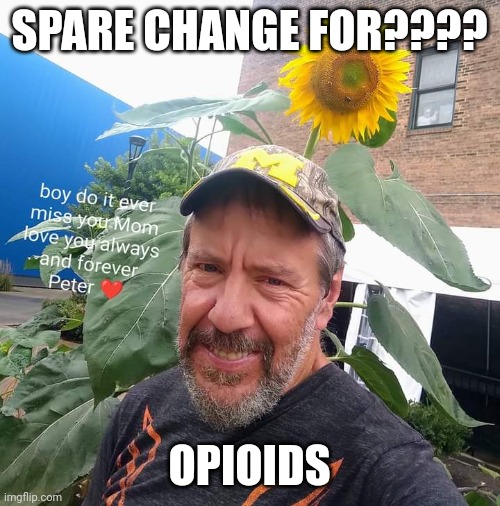 Spare Change For?? | SPARE CHANGE FOR???? OPIOIDS | image tagged in peter plant,drugs,drugs are bad,don't do drugs,funny memes | made w/ Imgflip meme maker