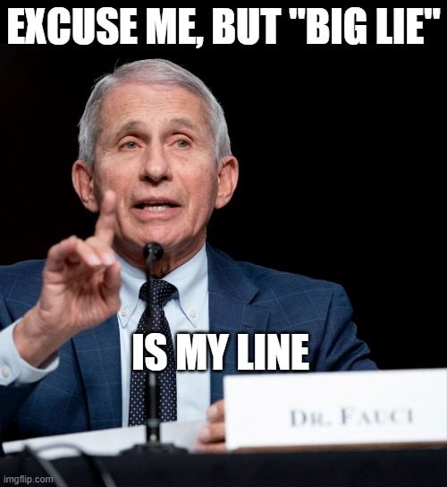 Dr. Fauci Big Lie | EXCUSE ME, BUT "BIG LIE" IS MY LINE | image tagged in dr fauci big lie | made w/ Imgflip meme maker
