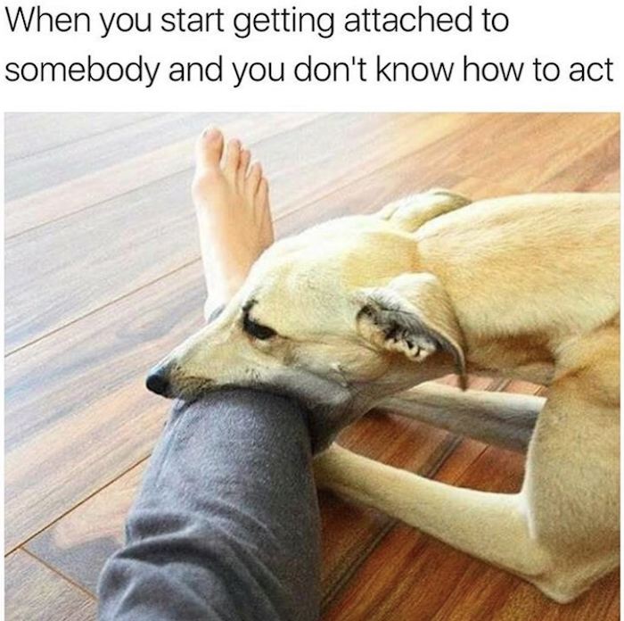 Being Attached. Relatable Blank Meme Template