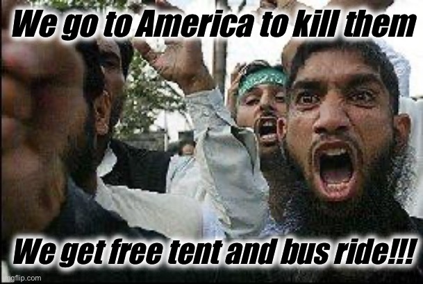 Angry Muslim | We go to America to kill them; We get free tent and bus ride!!! | image tagged in kamala harris,donald trump,liberal logic,liberal hypocrisy,stupid liberals,illegal immigration | made w/ Imgflip meme maker