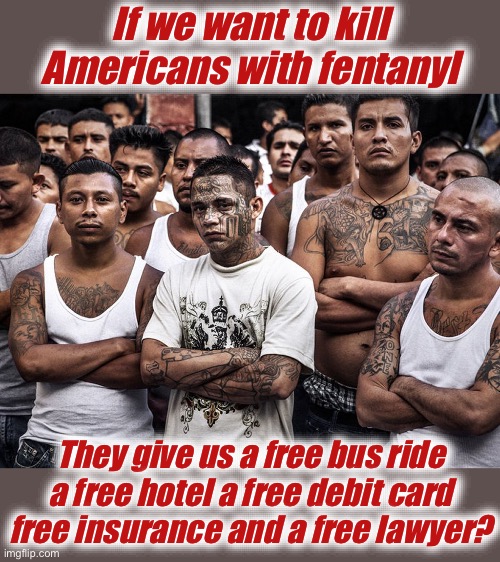 ms-13 dreamers daca | If we want to kill Americans with fentanyl; They give us a free bus ride a free hotel a free debit card free insurance and a free lawyer? | image tagged in ms-13 dreamers daca,kamala harris,illegal immigration,donald trump,stupid liberals,liberal logic | made w/ Imgflip meme maker