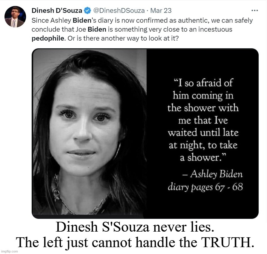 An Inconvenient TRUTH. | image tagged in dinesh d'souza,an inconvenient truth | made w/ Imgflip meme maker