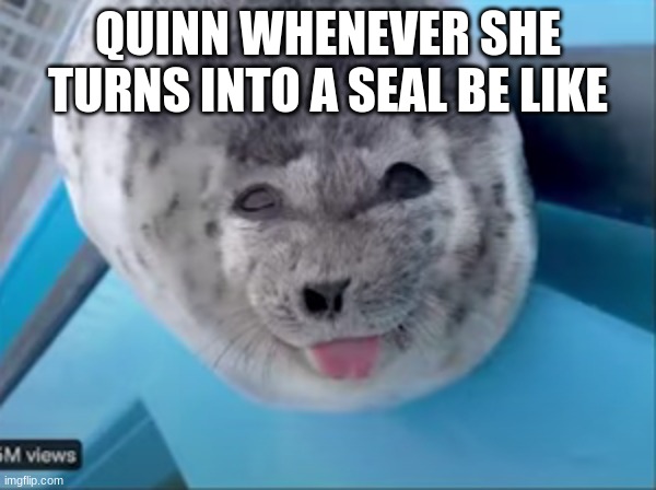 is round. is silly. is good girly. | QUINN WHENEVER SHE TURNS INTO A SEAL BE LIKE | image tagged in ocs,silly,cute baby | made w/ Imgflip meme maker