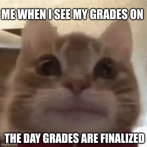 School meme | ME WHEN I SEE MY GRADES ON; THE DAY GRADES ARE FINALIZED | made w/ Imgflip meme maker