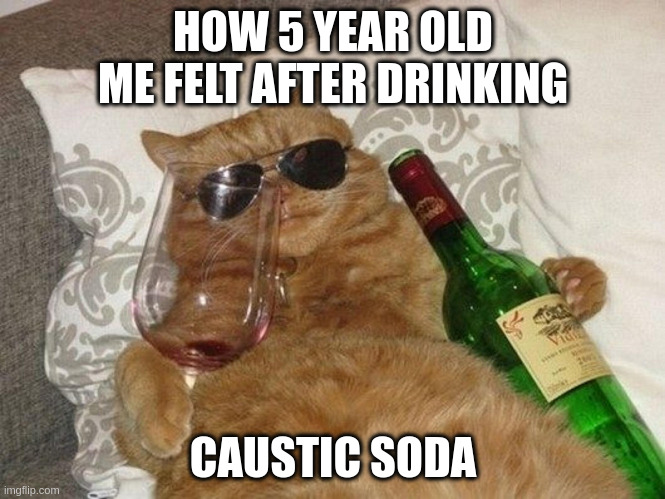 drunk cool cat | HOW 5 YEAR OLD ME FELT AFTER DRINKING CAUSTIC SODA | image tagged in drunk cool cat | made w/ Imgflip meme maker