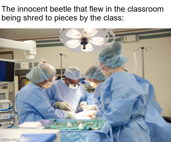 Surgery | The innocent beetle that flew in the classroom 
being shred to pieces by the class: | image tagged in surgery | made w/ Imgflip meme maker