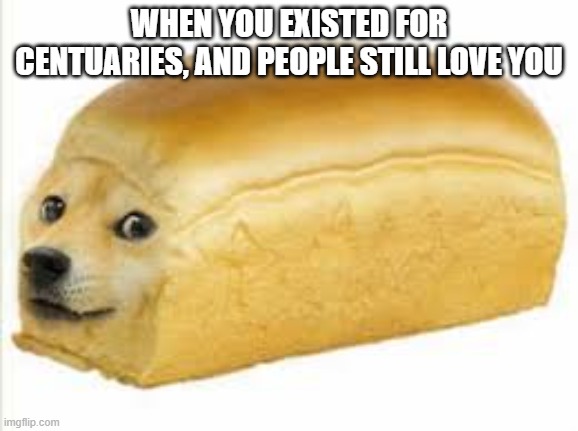 Doge bread | WHEN YOU EXISTED FOR CENTUARIES, AND PEOPLE STILL LOVE YOU | image tagged in doge bread | made w/ Imgflip meme maker