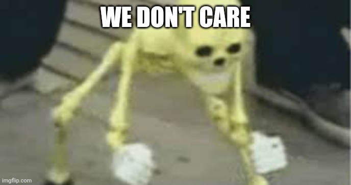 Dancing skeleton | WE DON'T CARE | image tagged in dancing skeleton | made w/ Imgflip meme maker