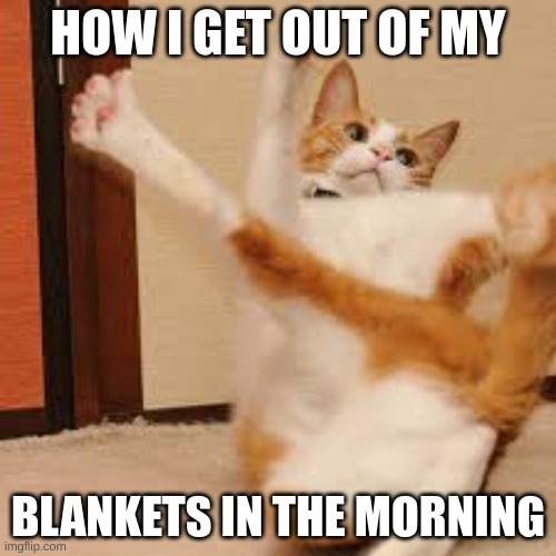 #Relatable | HOW I GET OUT OF MY; BLANKETS IN THE MORNING | image tagged in mornings | made w/ Imgflip meme maker