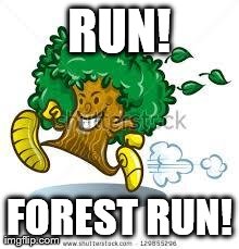 RUN! FOREST RUN! | image tagged in box of chocolates | made w/ Imgflip meme maker