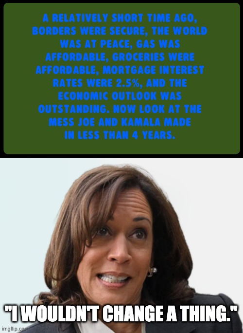 There Is No Plan To Make Your Life Better | "I WOULDN'T CHANGE A THING." | image tagged in harris walz,kamala,kamalogic,if it's broke i won't fix it | made w/ Imgflip meme maker