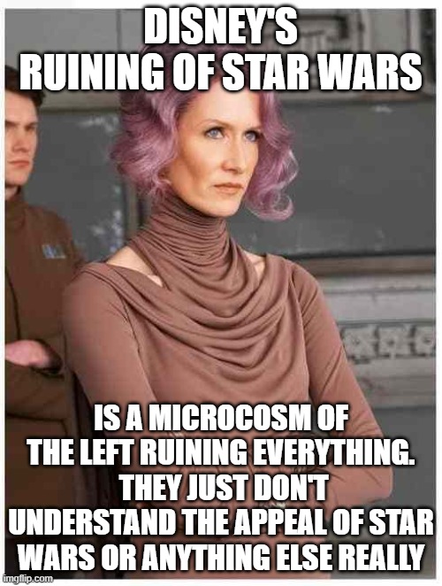 Vice Admiral Holdo | DISNEY'S RUINING OF STAR WARS IS A MICROCOSM OF THE LEFT RUINING EVERYTHING.  THEY JUST DON'T UNDERSTAND THE APPEAL OF STAR WARS OR ANYTHING | image tagged in vice admiral holdo | made w/ Imgflip meme maker