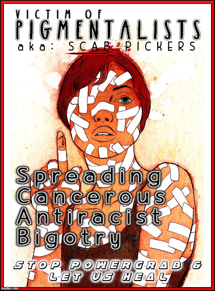 SCAB PICKING PIGMENTALISTS | image tagged in piggot,bigotry,scab,racist,racism,power grab | made w/ Imgflip meme maker