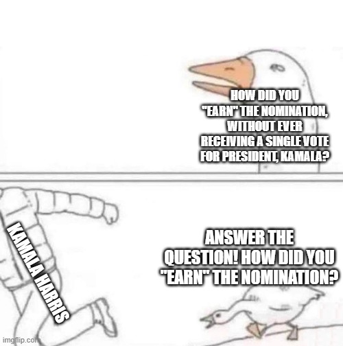 How did you earn the nomination? | HOW DID YOU "EARN" THE NOMINATION, WITHOUT EVER RECEIVING A SINGLE VOTE FOR PRESIDENT, KAMALA? ANSWER THE QUESTION! HOW DID YOU "EARN" THE NOMINATION? KAMALA HARRIS | image tagged in goose chase | made w/ Imgflip meme maker