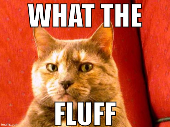 Suspicious Cat | WHAT THE; FLUFF | image tagged in memes,suspicious cat | made w/ Imgflip meme maker