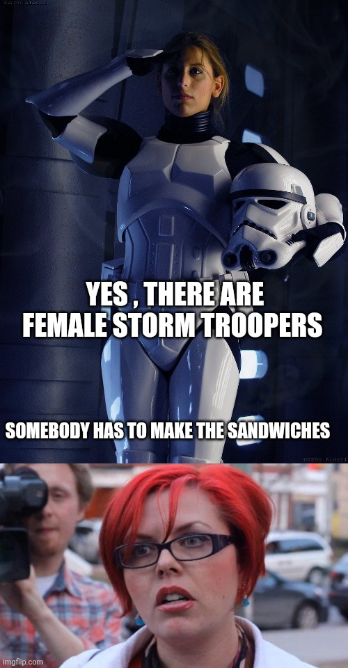 star wars meme | YES , THERE ARE FEMALE STORM TROOPERS; SOMEBODY HAS TO MAKE THE SANDWICHES | image tagged in angry feminist | made w/ Imgflip meme maker